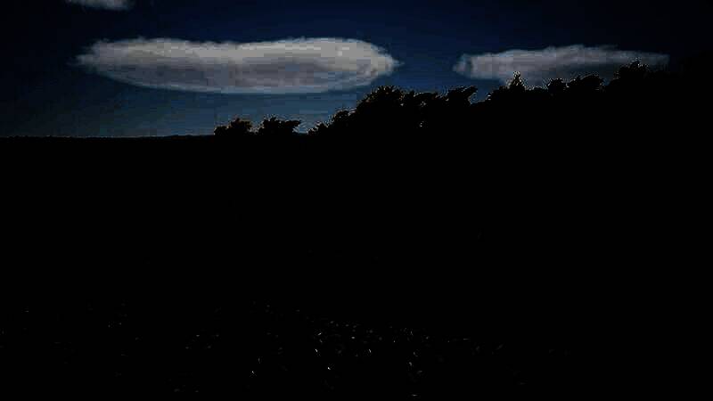 《庄园领主》相关图片1