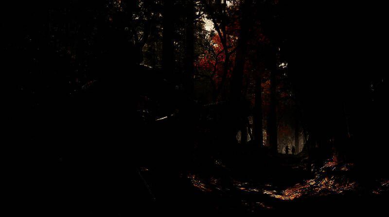 《刺客信条：影》相关图片1