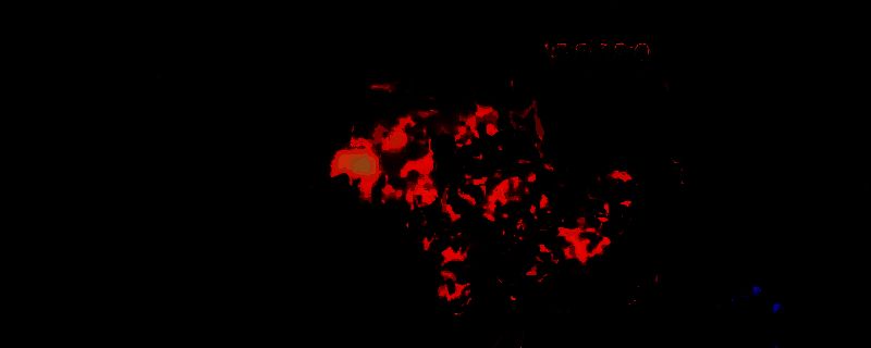 最后纪元法师玩法相关图片