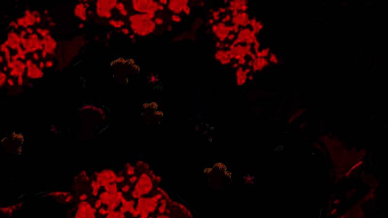 《NAIAD》游戏视频截图1