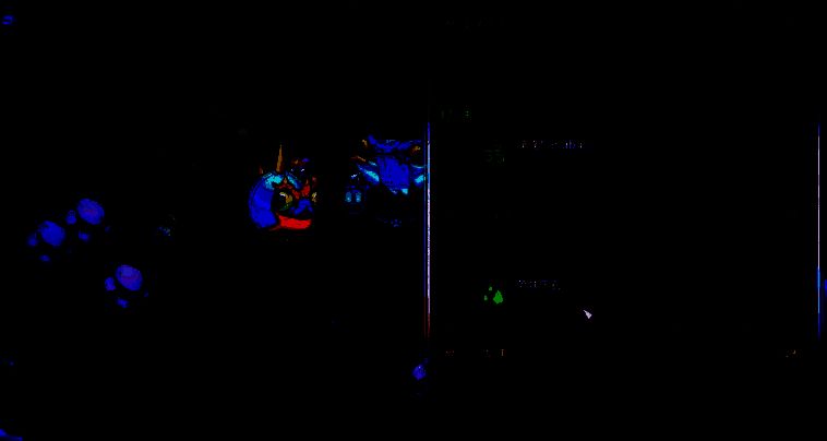 《崩溃大陆2》流血流派鸟蛋和蜗牛宠物