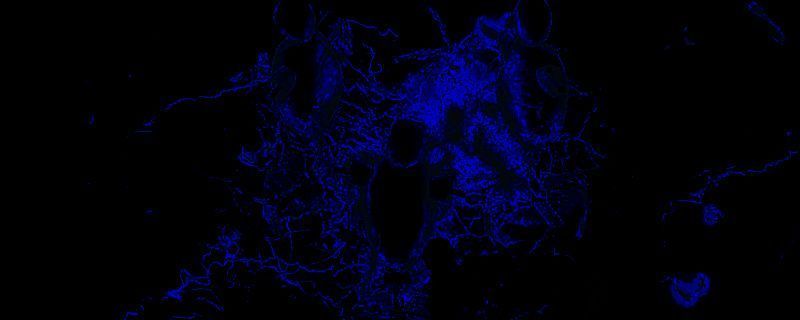 最后纪元狙击核爆流相关游戏画面