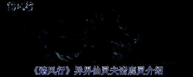 踏风行夫诸鹿灵相关配图1