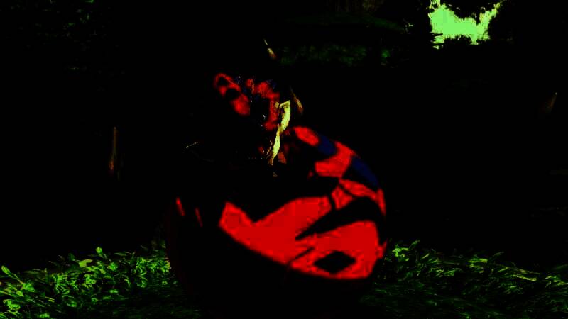 杉果新春特惠秒杀活动宣传图