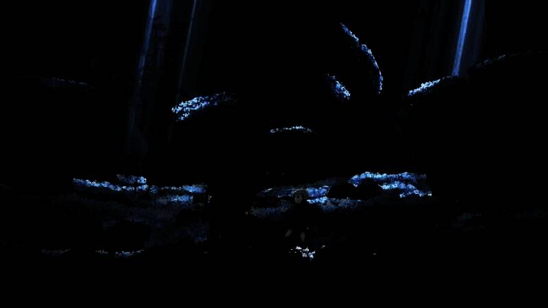 终焉之玛格诺利亚雾中盛放之花宣传图