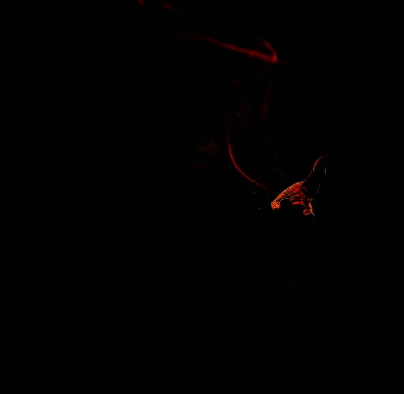 Hyeonji Kim的艺术作品6