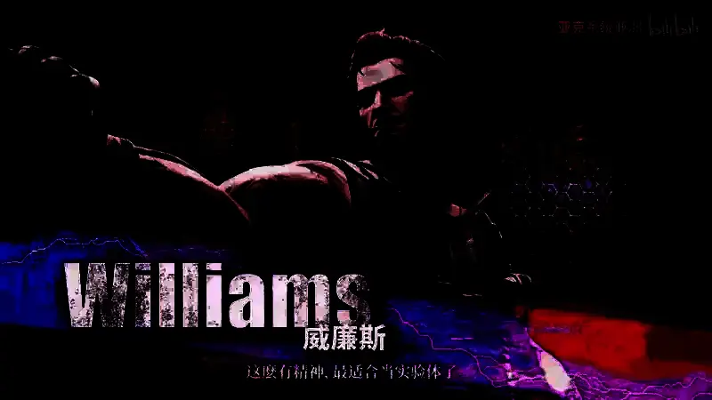 《双截龙再临》视频截图1