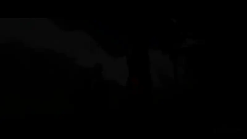 古斯塔夫提及给索菲送花的画面