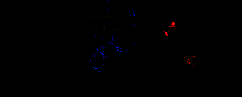 最后纪元游戏截图