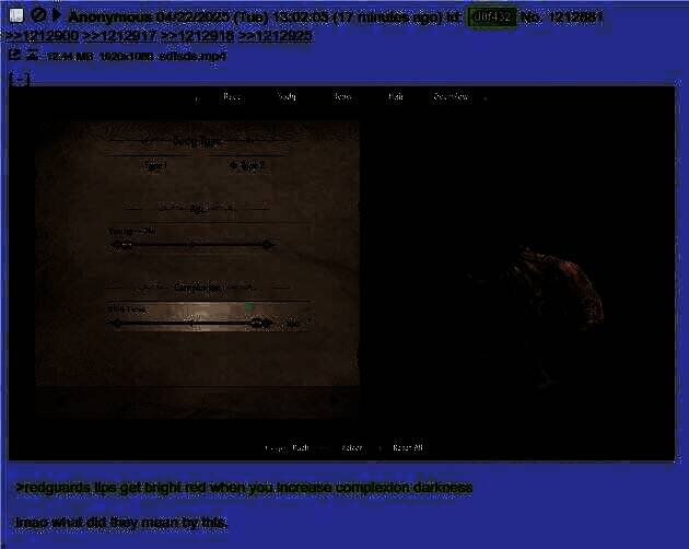 《上古卷轴4：湮灭原版》画面