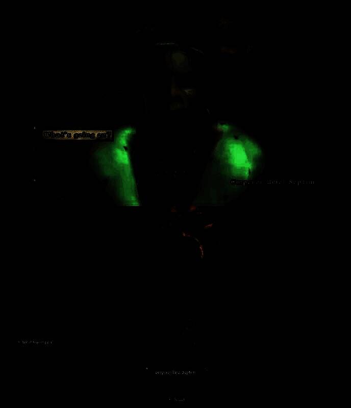 《上古卷轴4》原版与重制版画面综合对比