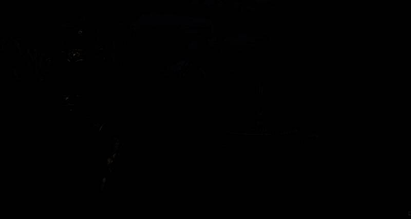 直播中《上古卷轴4：重制版》精彩画面6