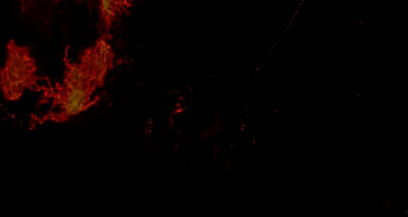 直播中《上古卷轴4：重制版》精彩画面7