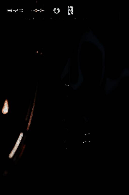 汉L联名车型外观图4