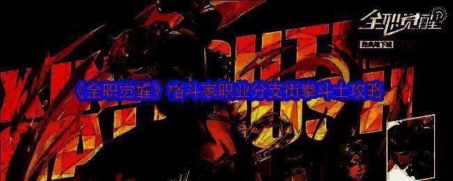 格斗家相关展示图片