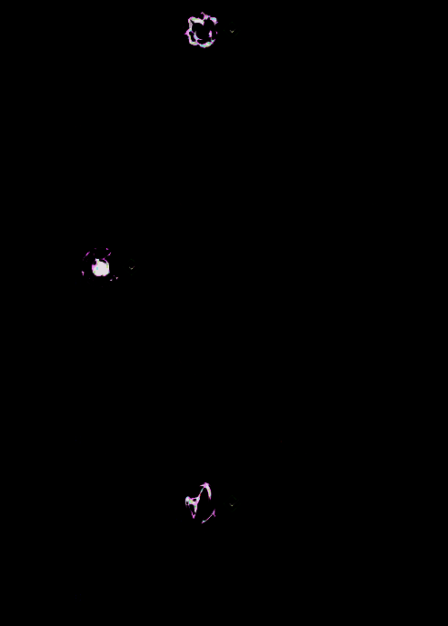 全职觉醒技能展示