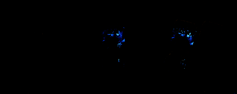 《苏丹的游戏》相关画面