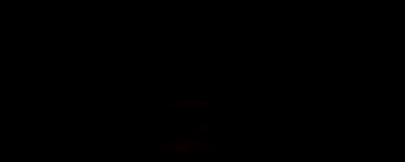 《R.E.P.O.》肉胎虫/蟑螂相关画面