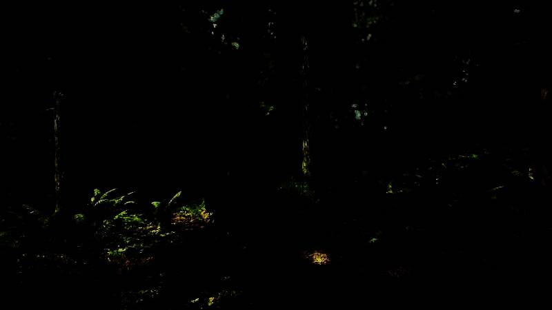 《最后的生还者2：重制版》开启光追MOD后的画面1