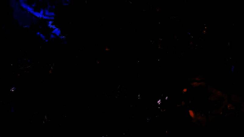 《英雄无敌：上古纪元》森林派系预告视频截图2