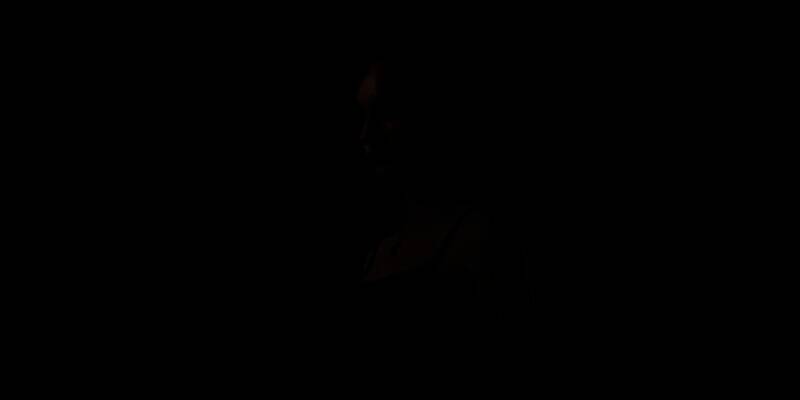 《inZOI》捏出的明星形象2