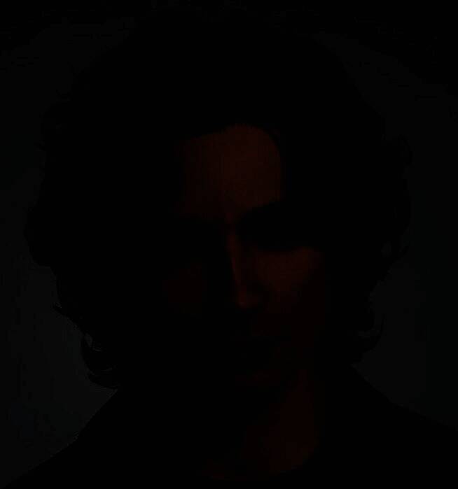 《inZOI》捏出的明星形象8