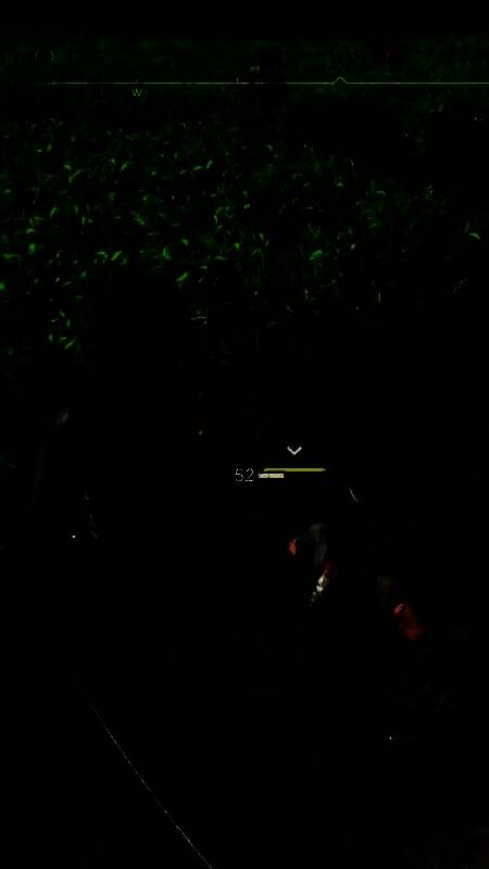 《刺客信条：影》无头敌人画面6