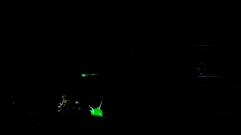 《武士零》免费DLC视频截图5