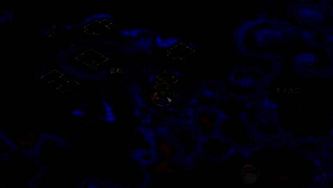 锤头蝠宠物图片