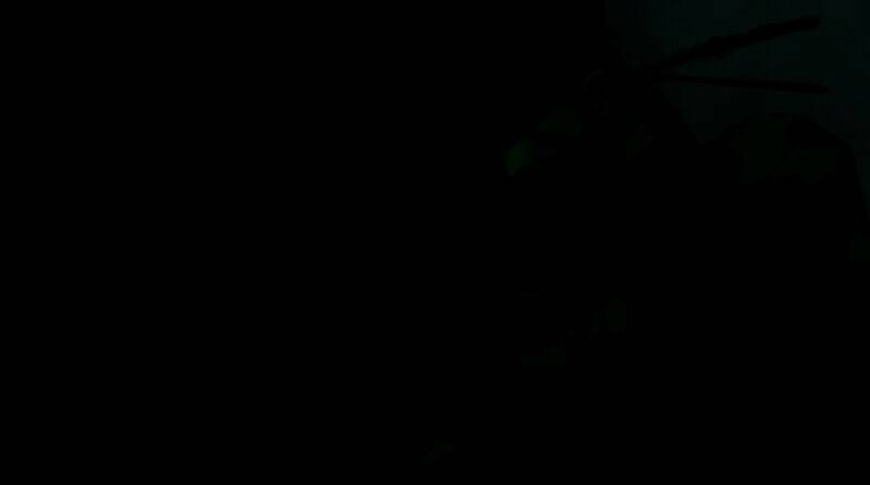 《合金装备》中斯内克形象画面