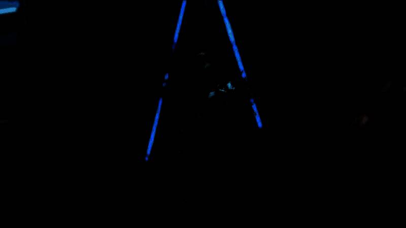 应激状态下的游戏小猫