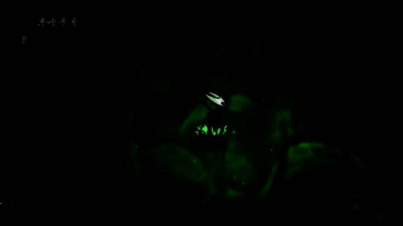 《空洞骑士：丝之歌》相关宣传图片4