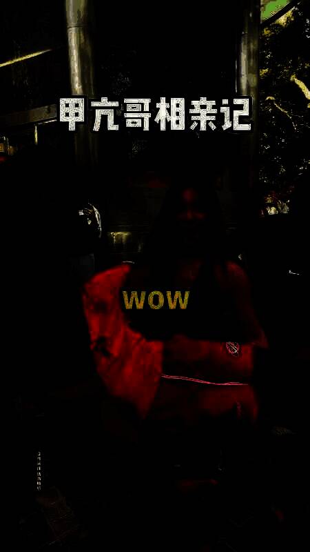 甲亢哥中国式相亲现场画面7