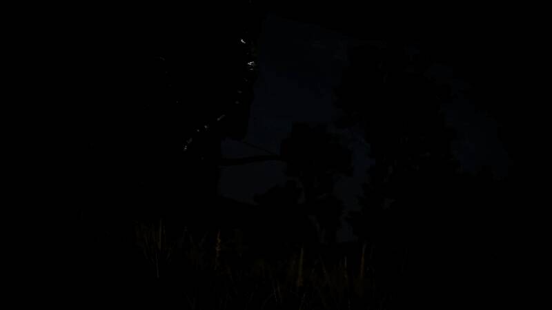 《艾尔登法环：黑夜君临》游戏视频画面2