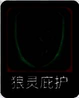 加护盾技能图片