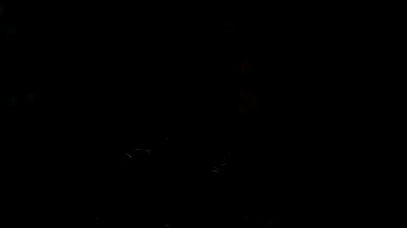 《光与影：33号远征队》相关图片1