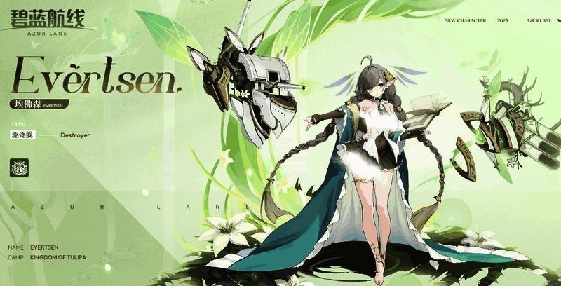 埃佛森相关图片1