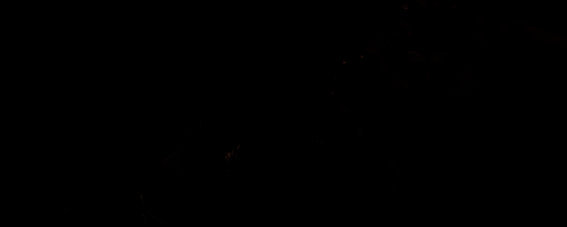 上古卷轴4湮灭重制版游戏画面