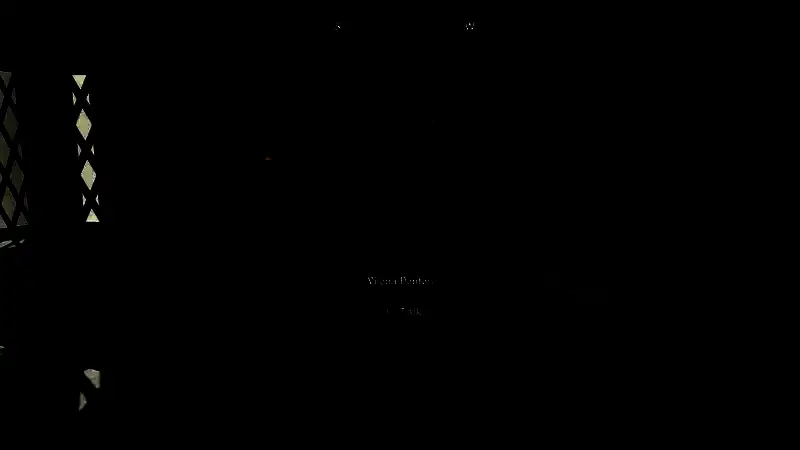 Vilena Donton相关配图2