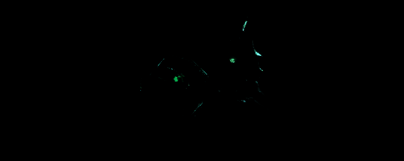 光与影33号远征队游戏画面