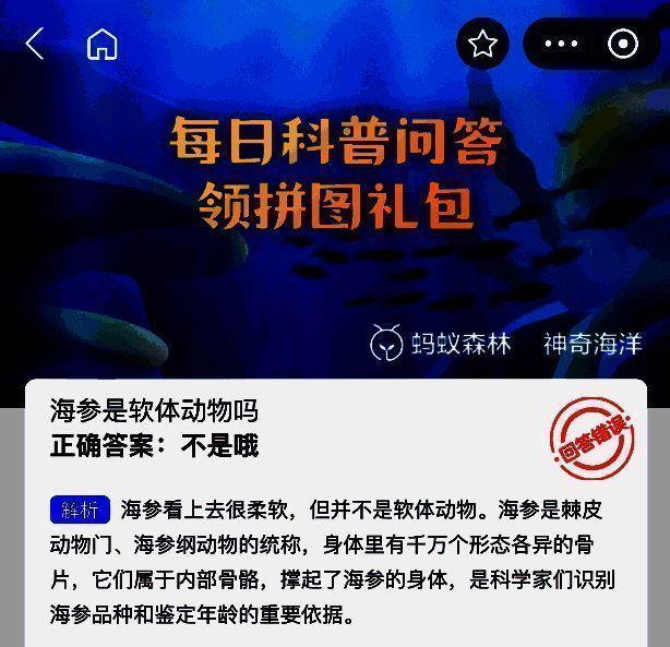 神奇海洋答案展示图片