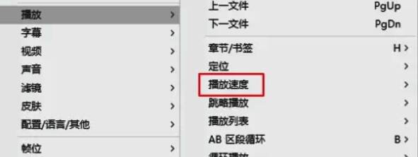PotPlayer播放速度子菜单图片