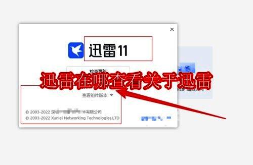 迅雷软件相关界面图