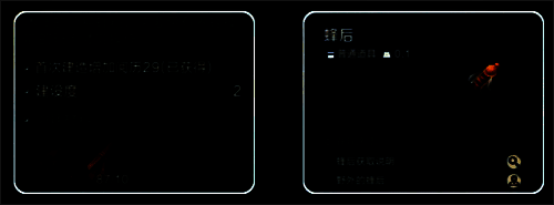 蜂后搭建蜂箱画面