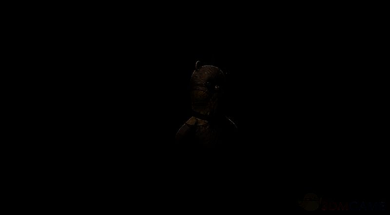 愿望先生异常物