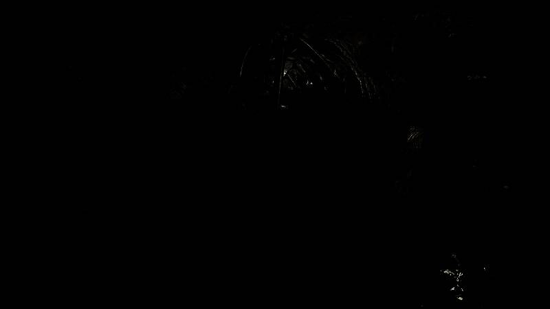 《怪物猎人：荒野》游戏画面8