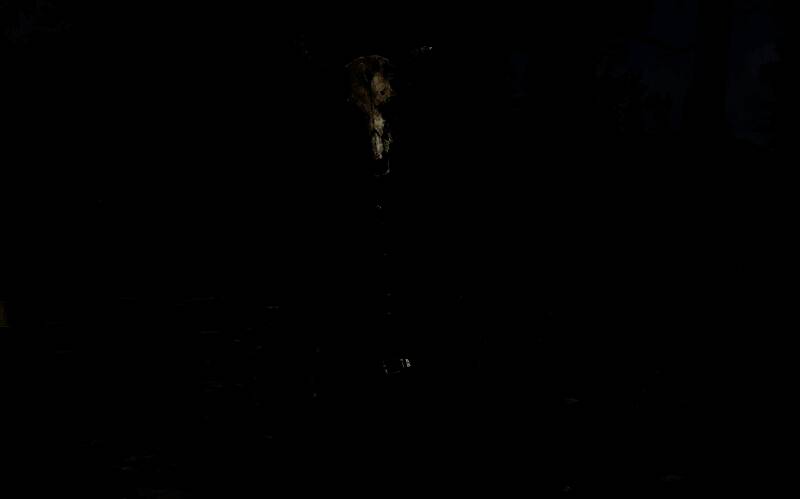 异教徒头骨面具图片