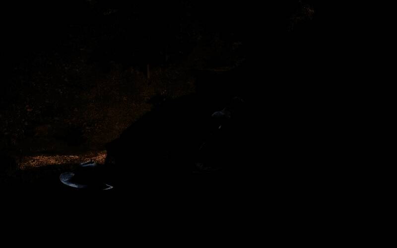 使用套锁套住安达卢西亚马