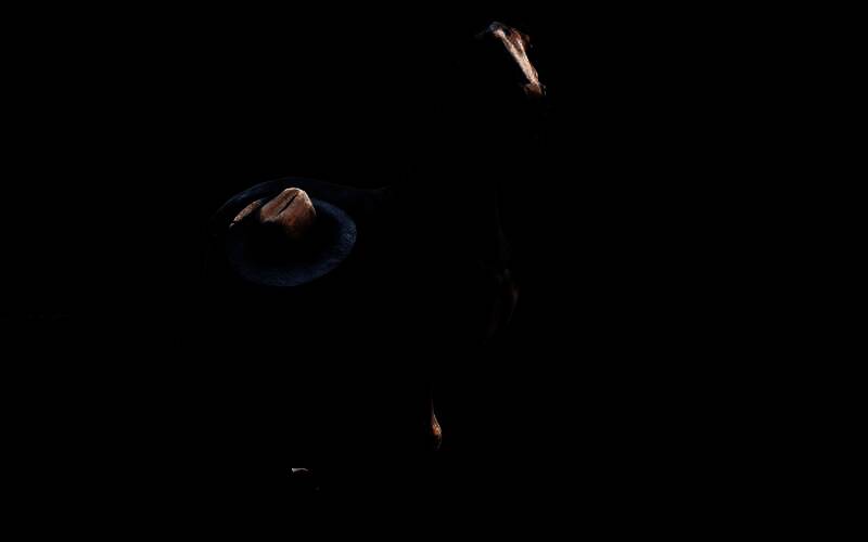 靠近并安抚安达卢西亚马