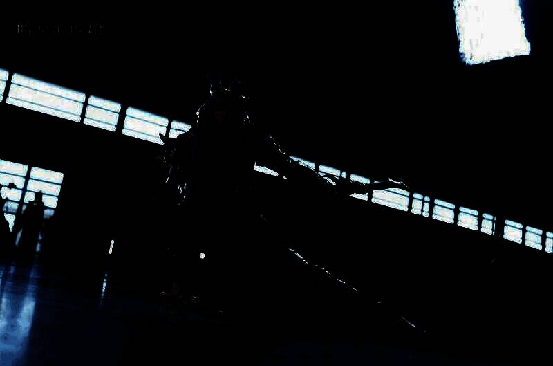 ChinaJoy现场《暗黑破坏神：不朽》展位盛况